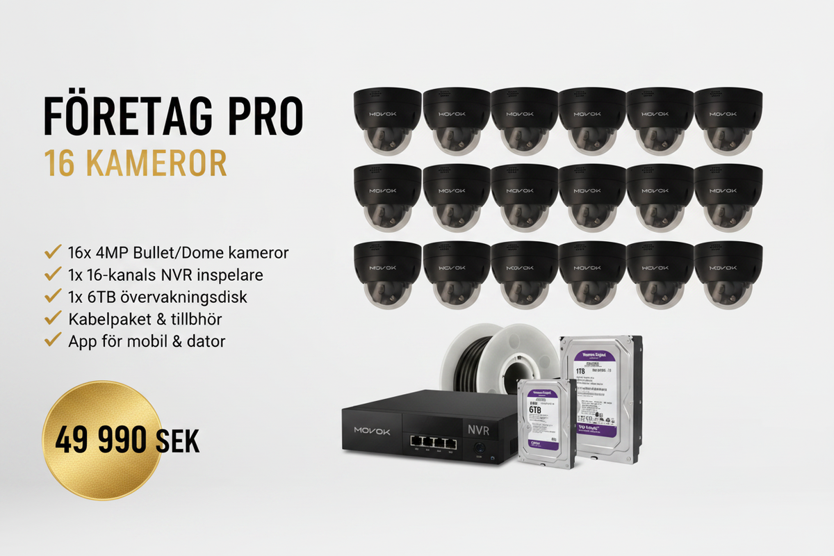 Företag Pro